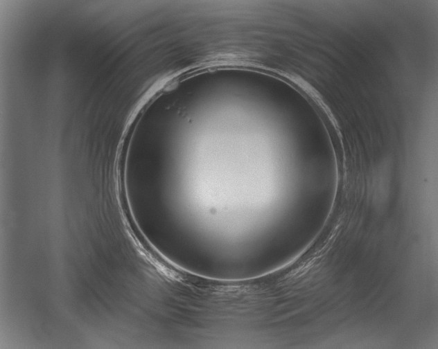 X0000052551341200507081559