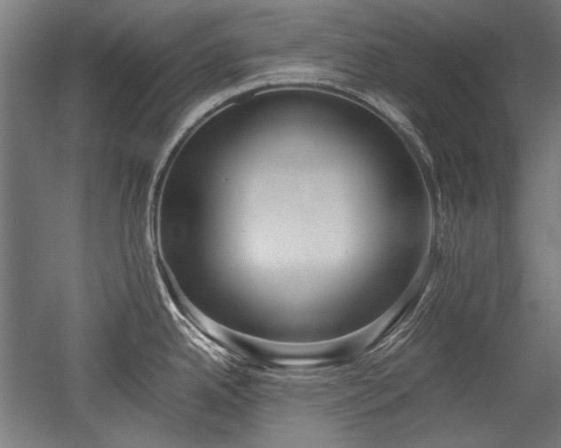 X0000052551342200507081559