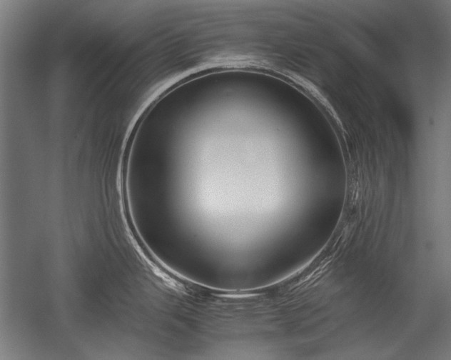 X0000052551343200507081559