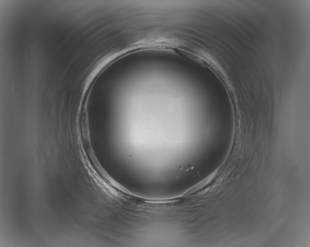 X0000052551344200507081559