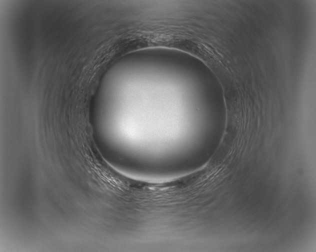 X0000052551345200507081559