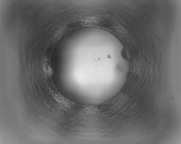 X0000052551346200507081559