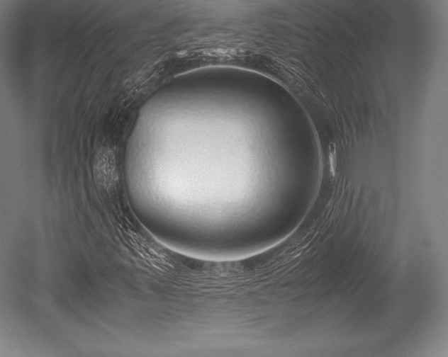 X0000052551347200507081559