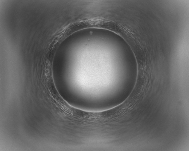 X0000052551349200507081558