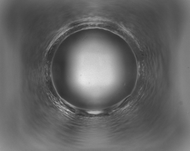 X0000052551352200507081558