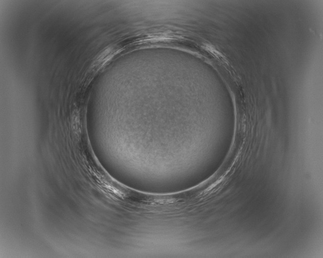 X0000052551353200507081558