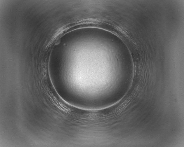 X0000052551355200507081558