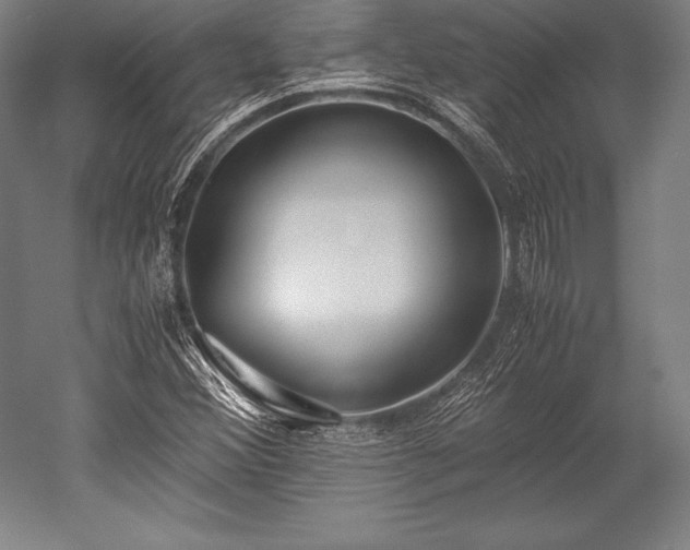 X0000052551356200507081558