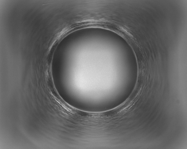 X0000052551357200507081558