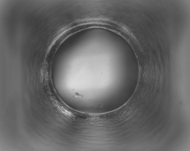 X0000052551360200507081558