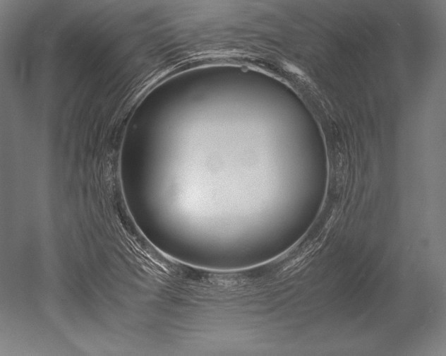 X0000052551361200507081558