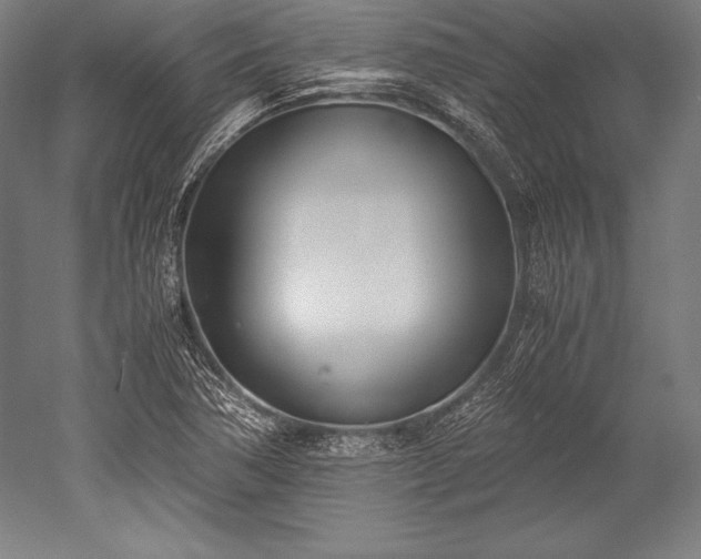 X0000052551362200507081558