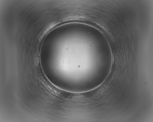 X0000052551363200507081558