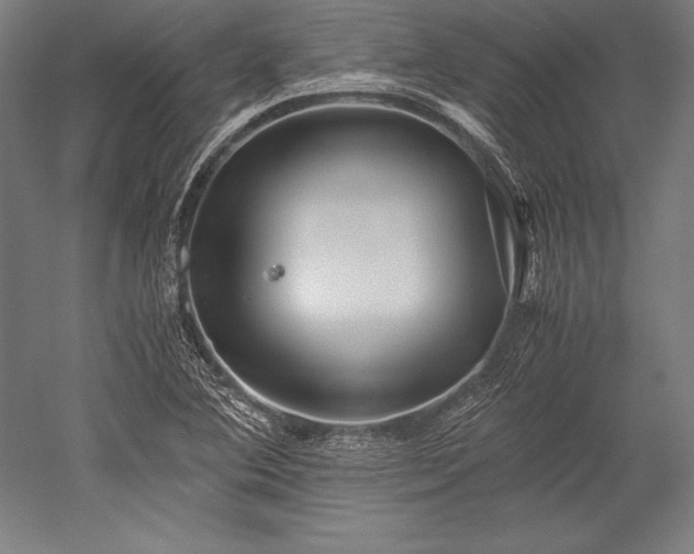 X0000052551364200507081558