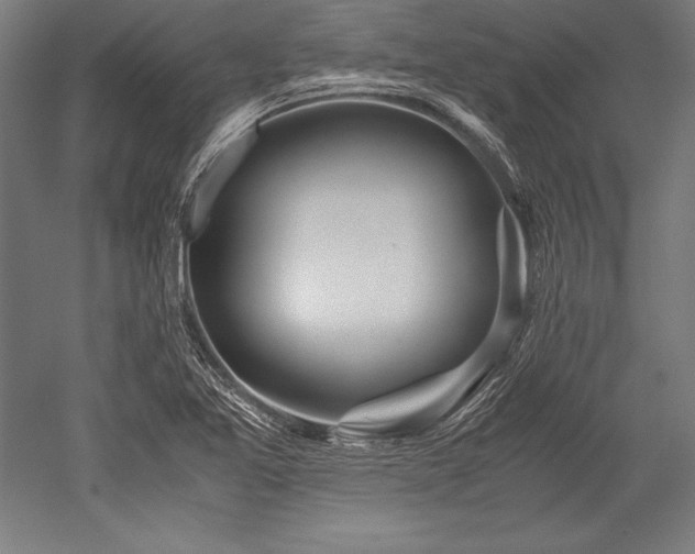 X0000052551365200507081558