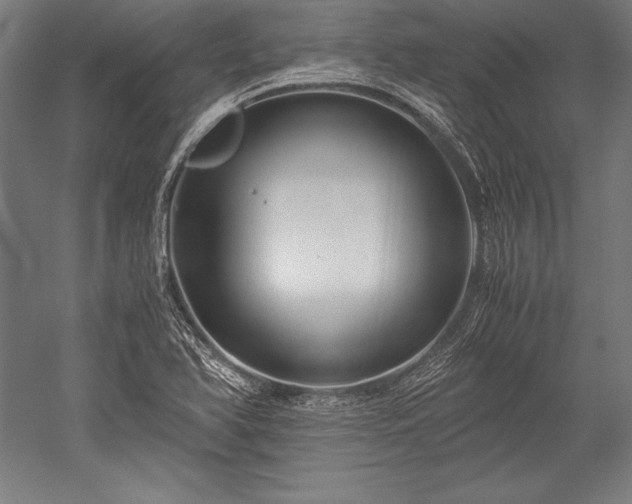 X0000052551366200507081558