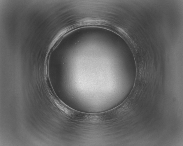 X0000052551370200507081558