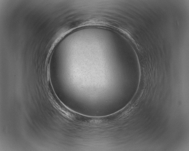 X0000052551371200507081558