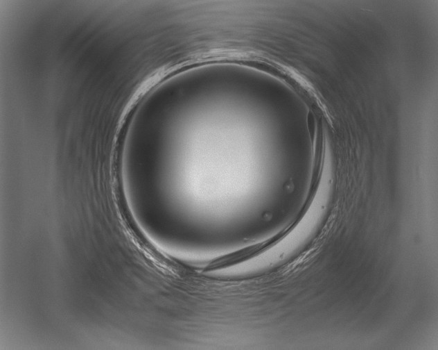 X0000052551373200507081558