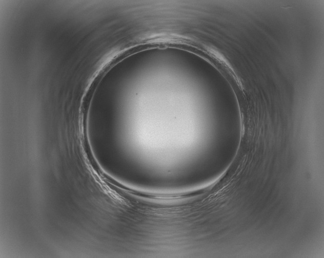 X0000052551376200507081558