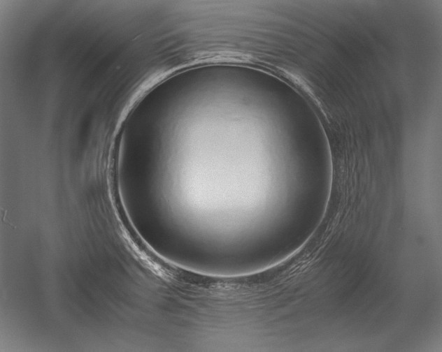 X0000052551379200507081558