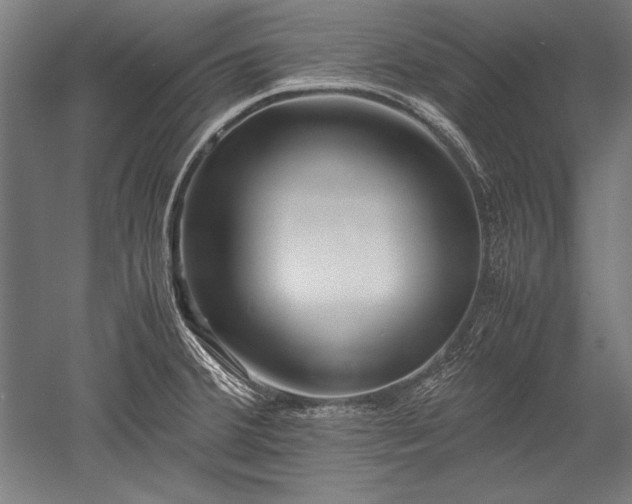 X0000052551380200507081558