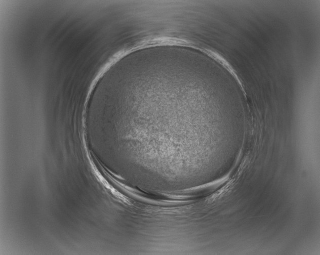 X0000052551381200507081558