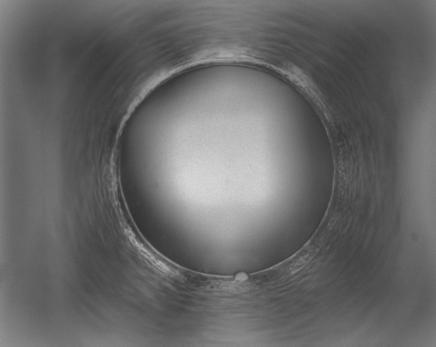 X0000052551382200507081558