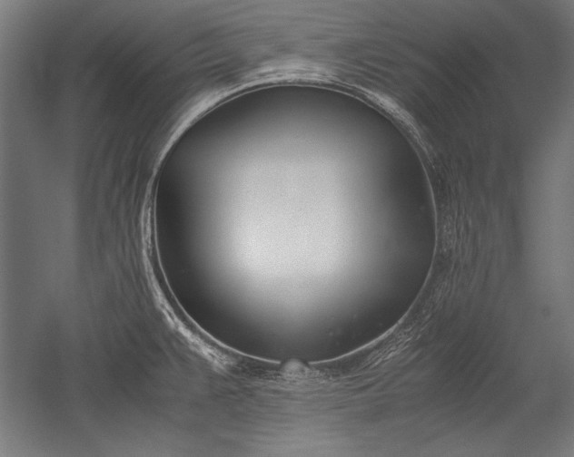 X0000052551383200507081558