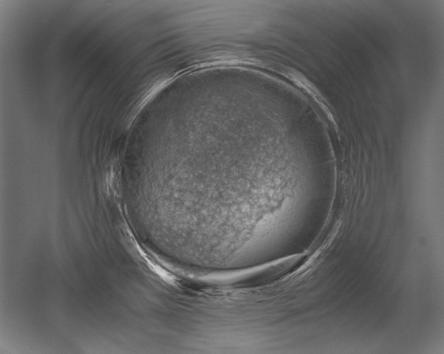 X0000052551385200507081558