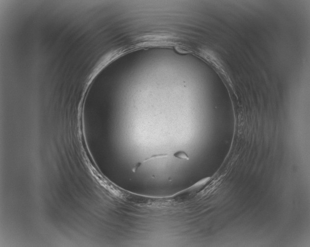 X0000052551386200507081558