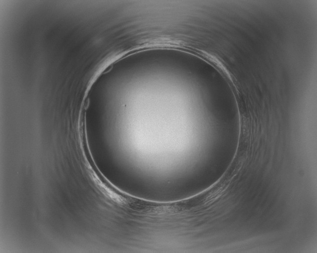 X0000052551387200507081558