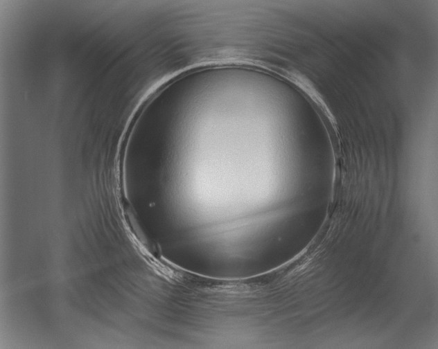 X0000052551388200507081558