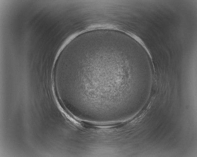 X0000052551389200507081558