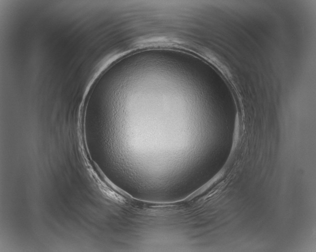 X0000052551392200507081558