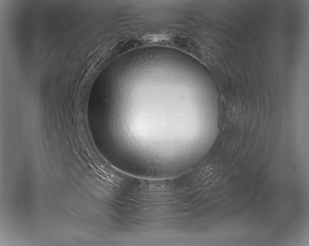 X0000052551393200507081557