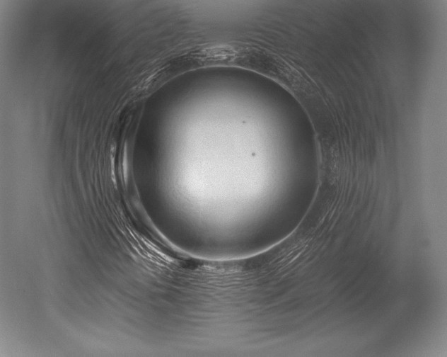 X0000052551394200507081557