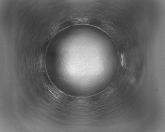 X0000052551395200507081557