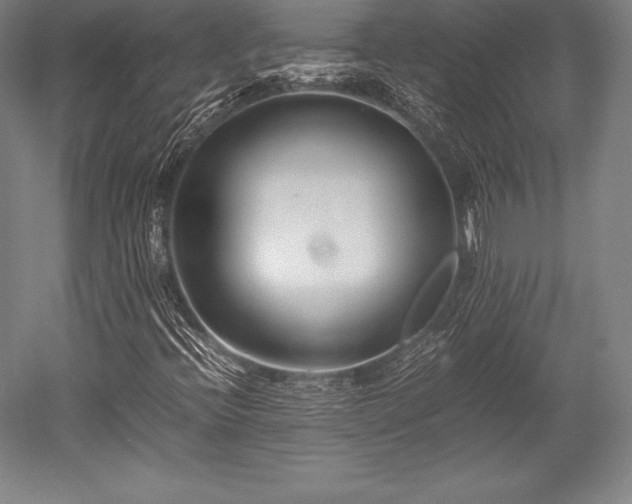 X0000052551396200507081557