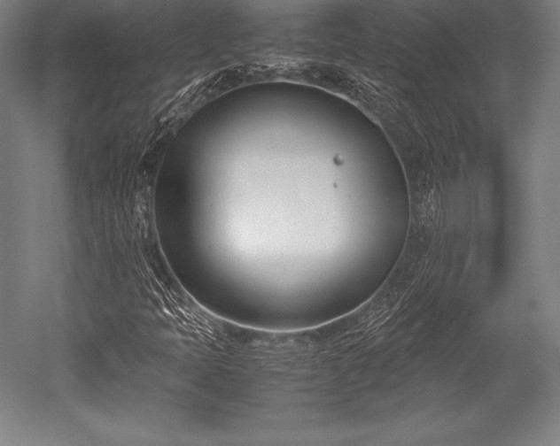 X0000052551397200507081557