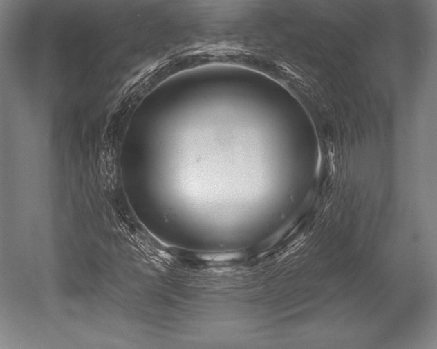 X0000052551398200507081557