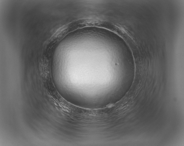 X0000052551399200507081557