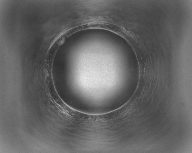 X0000052551400200507081557