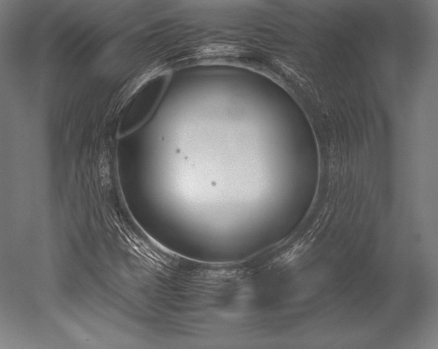 X0000052551401200507081557