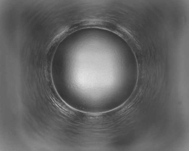 X0000052551403200507081557