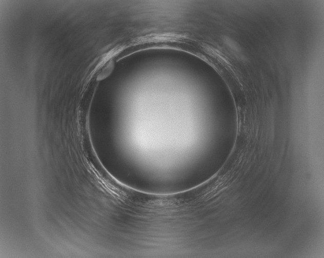 X0000052551404200507081557