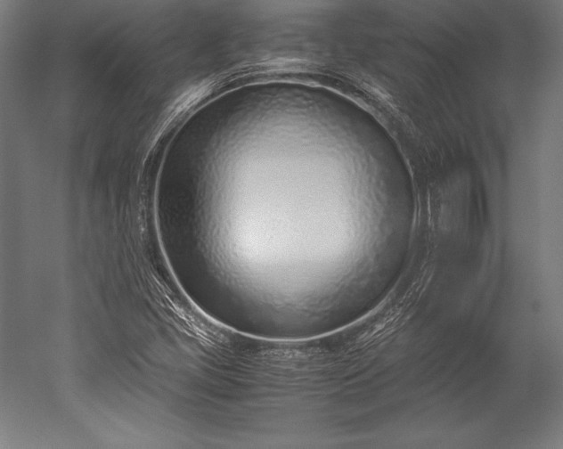 X0000052551405200507081557