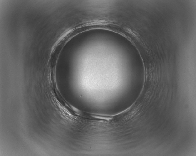 X0000052551406200507081557