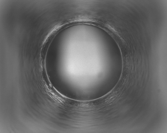 X0000052551408200507081557