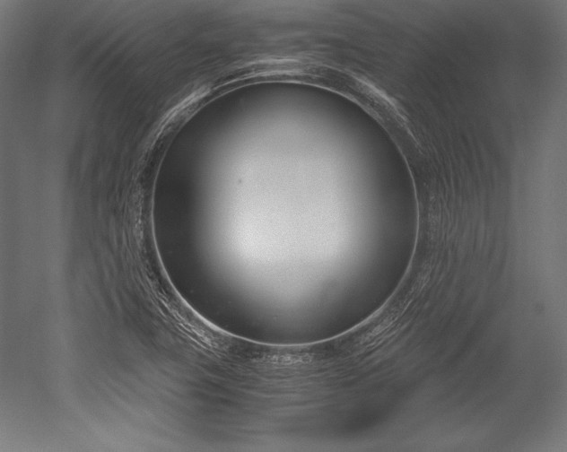 X0000052551411200507081557